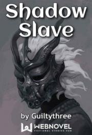 Shadow Slave